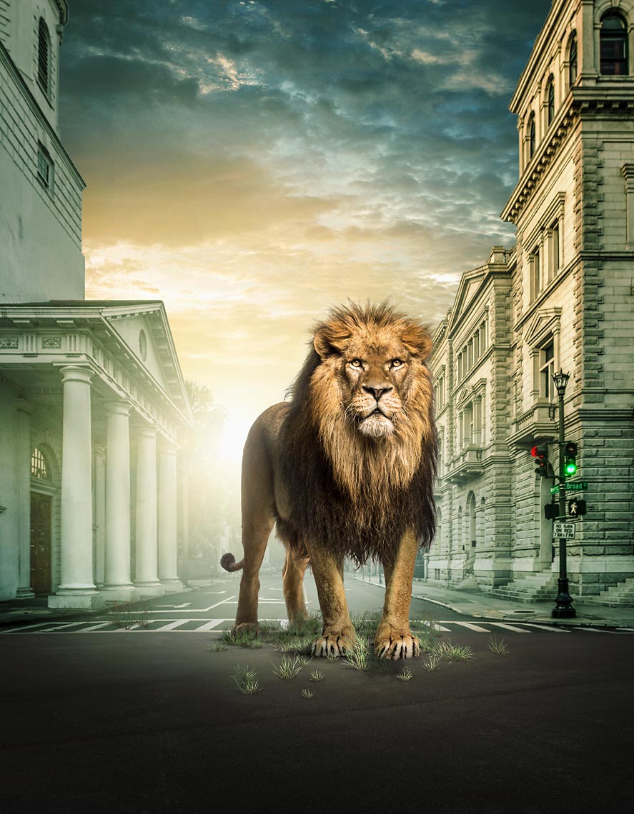 4.17.20_OBV-SEWE_Lion-Vert-Cor.-w38-Flat-w2-Flat