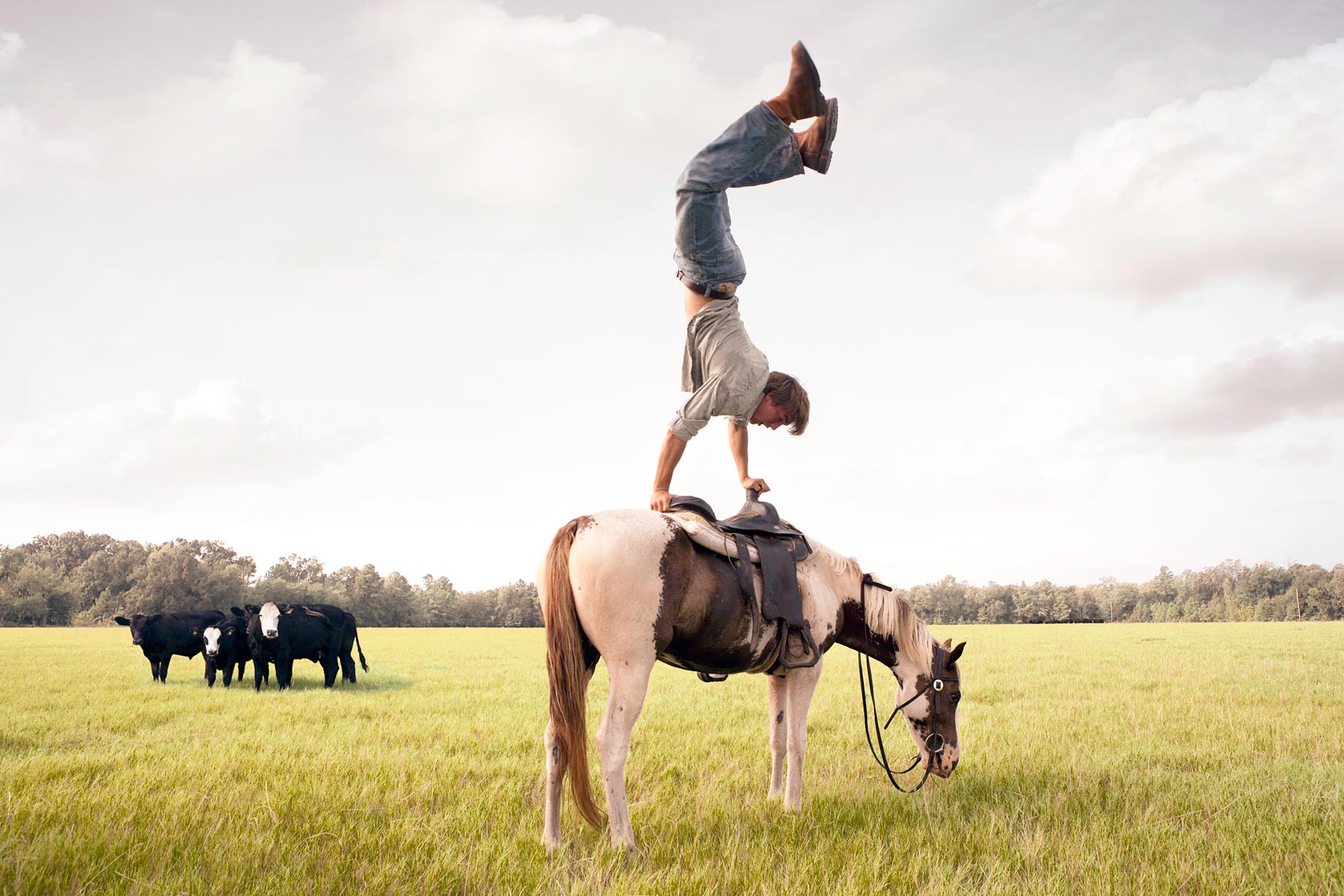 SMZ-Hunter-Cattle-Horse-Handstands-2